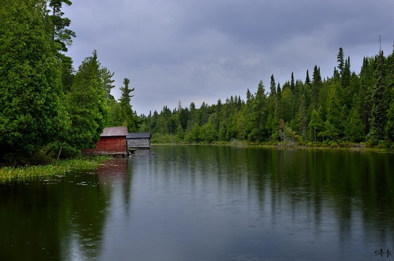 Somewhere in Algonquin
