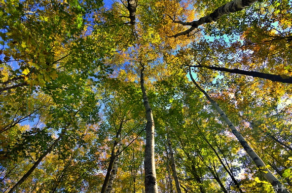 Yet..fall