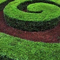 Swirls