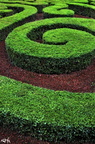 Swirls