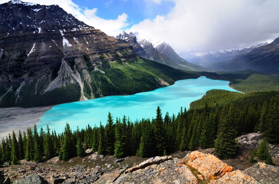 Peyto lake