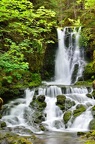 DSC 7623