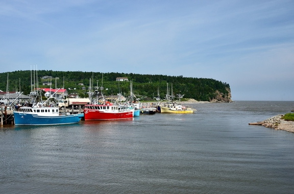 DSC 7673