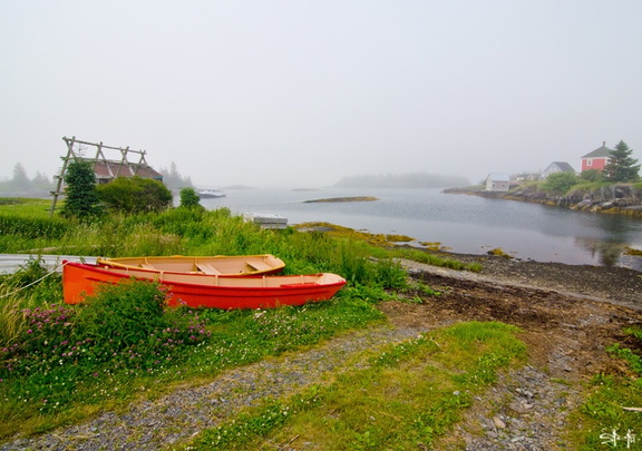 DSC 7853