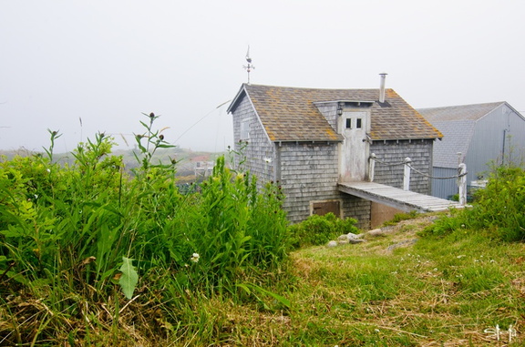 DSC 7890