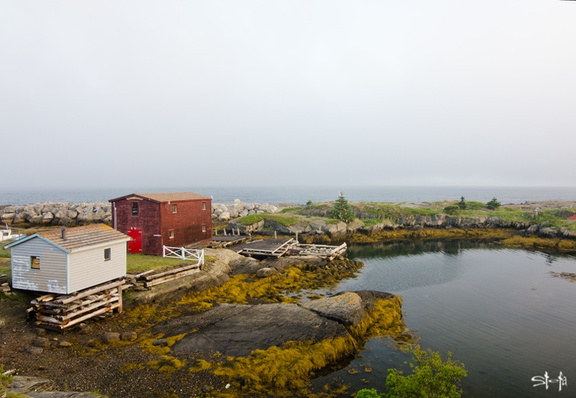 DSC 7920