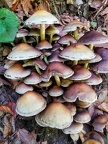 IMG 20201005 112407-01