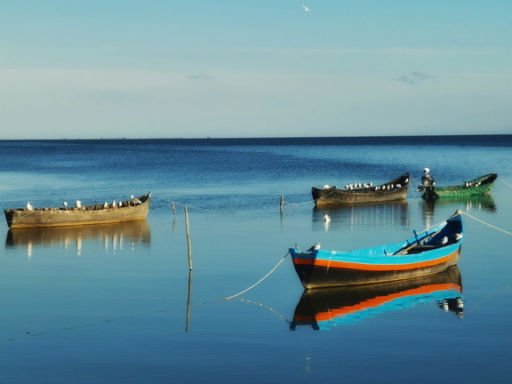 IMG 20201018 165839 edited