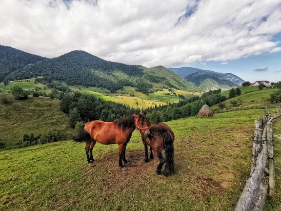 IMG 20200909 141154 edited