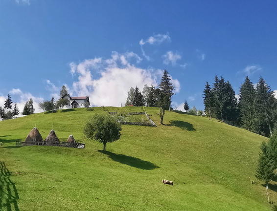 IMG 20200909 124931 edited