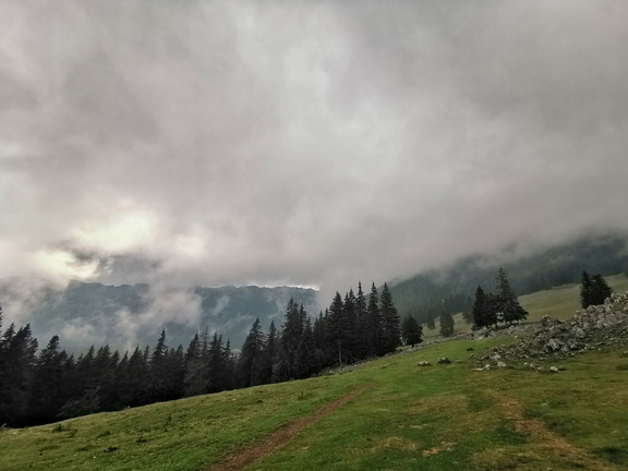 IMG 20200908 144403-01