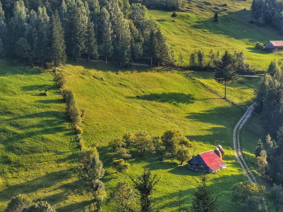 IMG 20200907 180512 edited