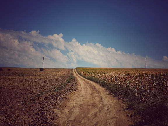 IMG 20200813 121724-01