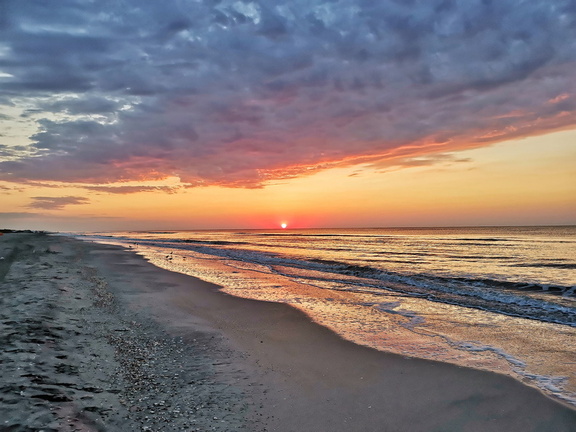 IMG 20200811 060712 edited