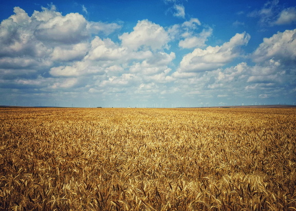 IMG 20200701 120631-01