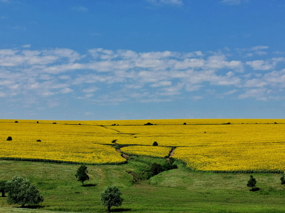 IMG 20210709 105213-01