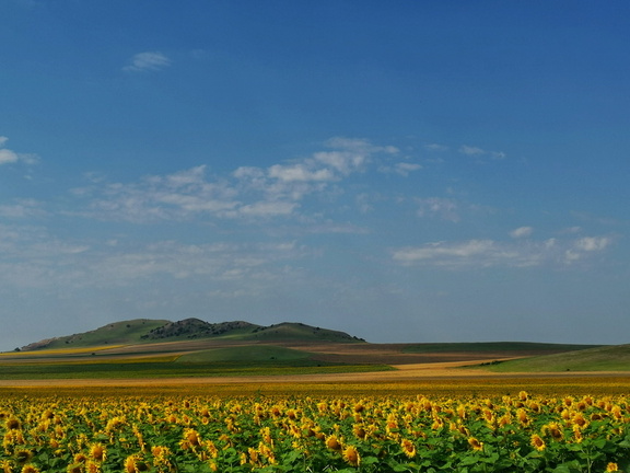 IMG 20210709 102501-01