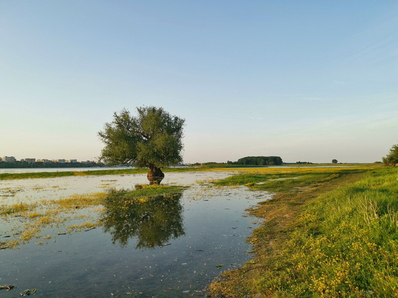 IMG 20210525 200552-01