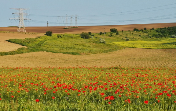 IMG 20210525 192451-01