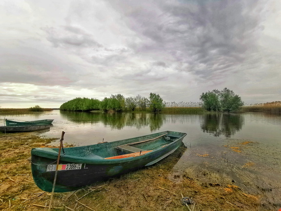 IMG 20210503 162826-01