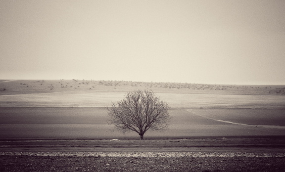 IMG 20210402 164513-02