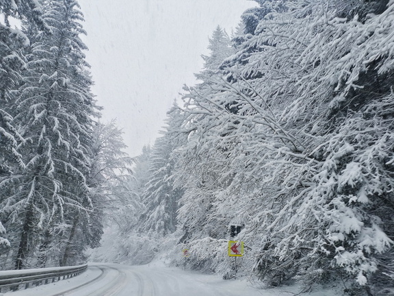 IMG 20210215 164302-01