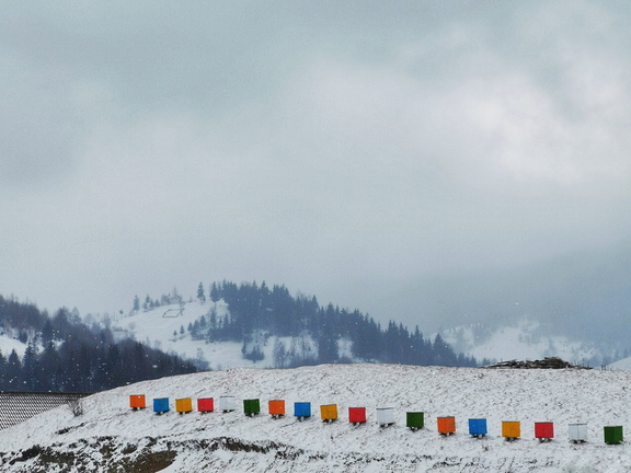 IMG 20210215 120746-01