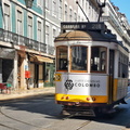 IMG 20220610 112650-01