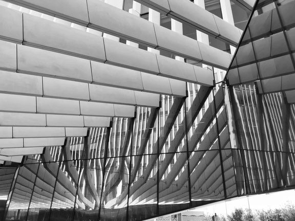 IMG 20220609 110154-01