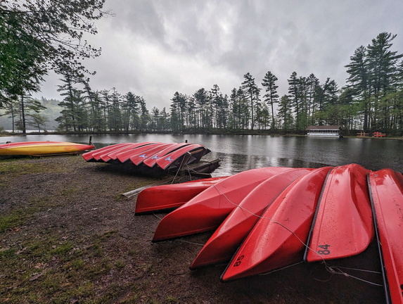 PXL 20230520 230346601-01